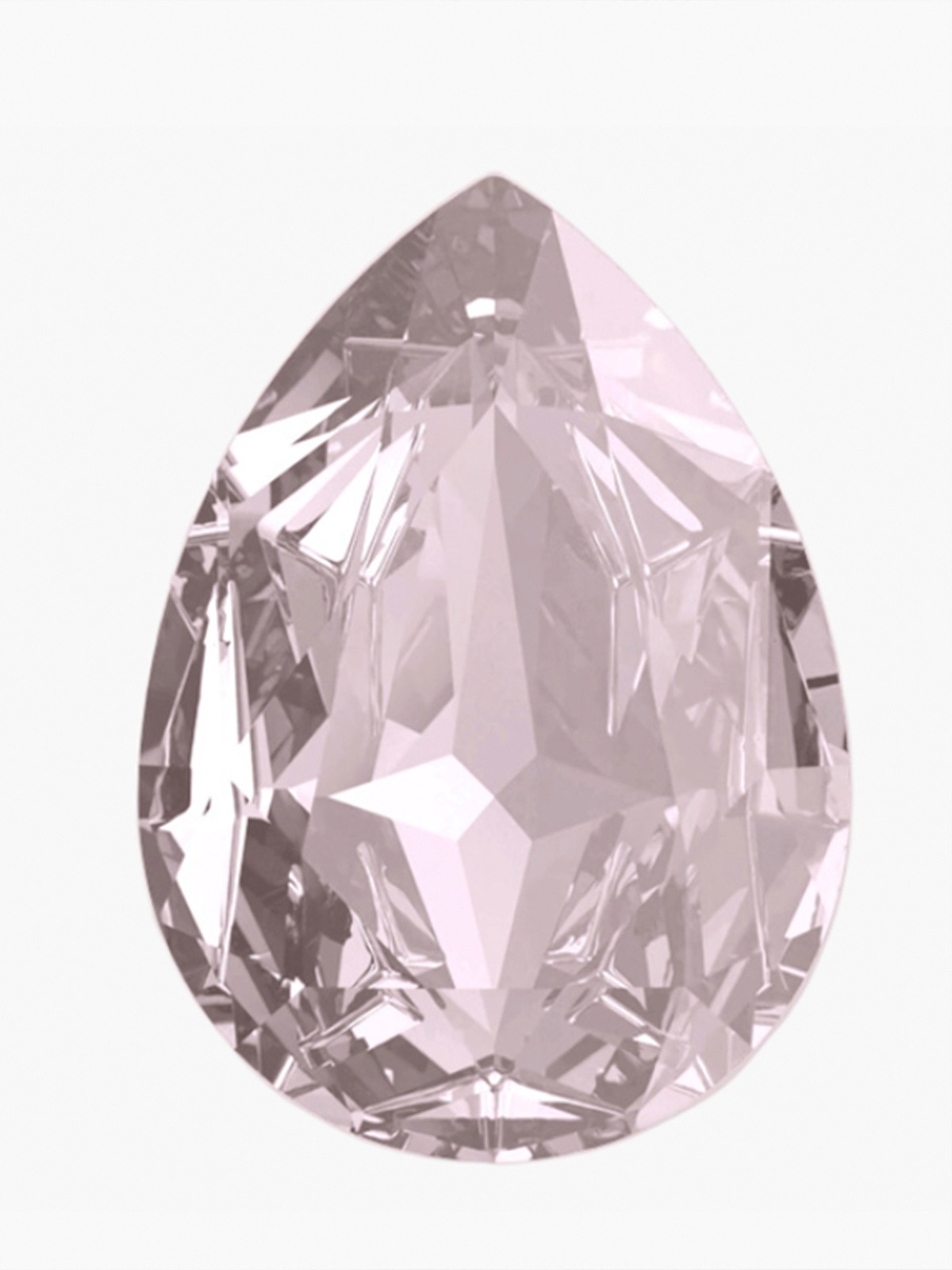 Newsletter -February 2024